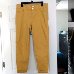 Apartment 9  gold-ish ankle pants